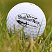 Golfclub Dorhout Mees logo